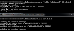 Multicast Server und Client