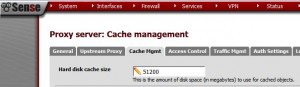 pfSense - Squid Proxy Cache Size